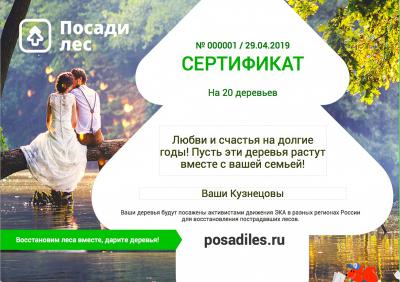 Рязанцам предлагают дарить молодожёнам лес